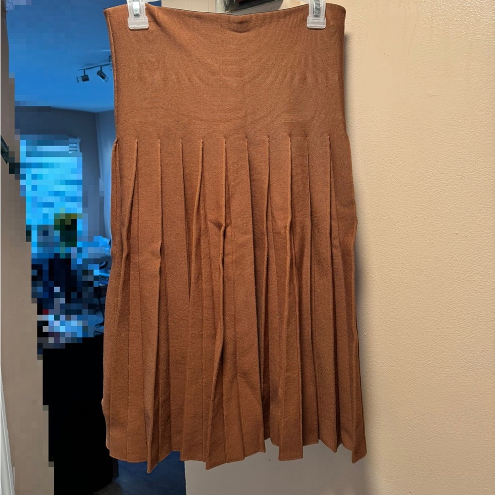 Apparalel Pleated Skirt